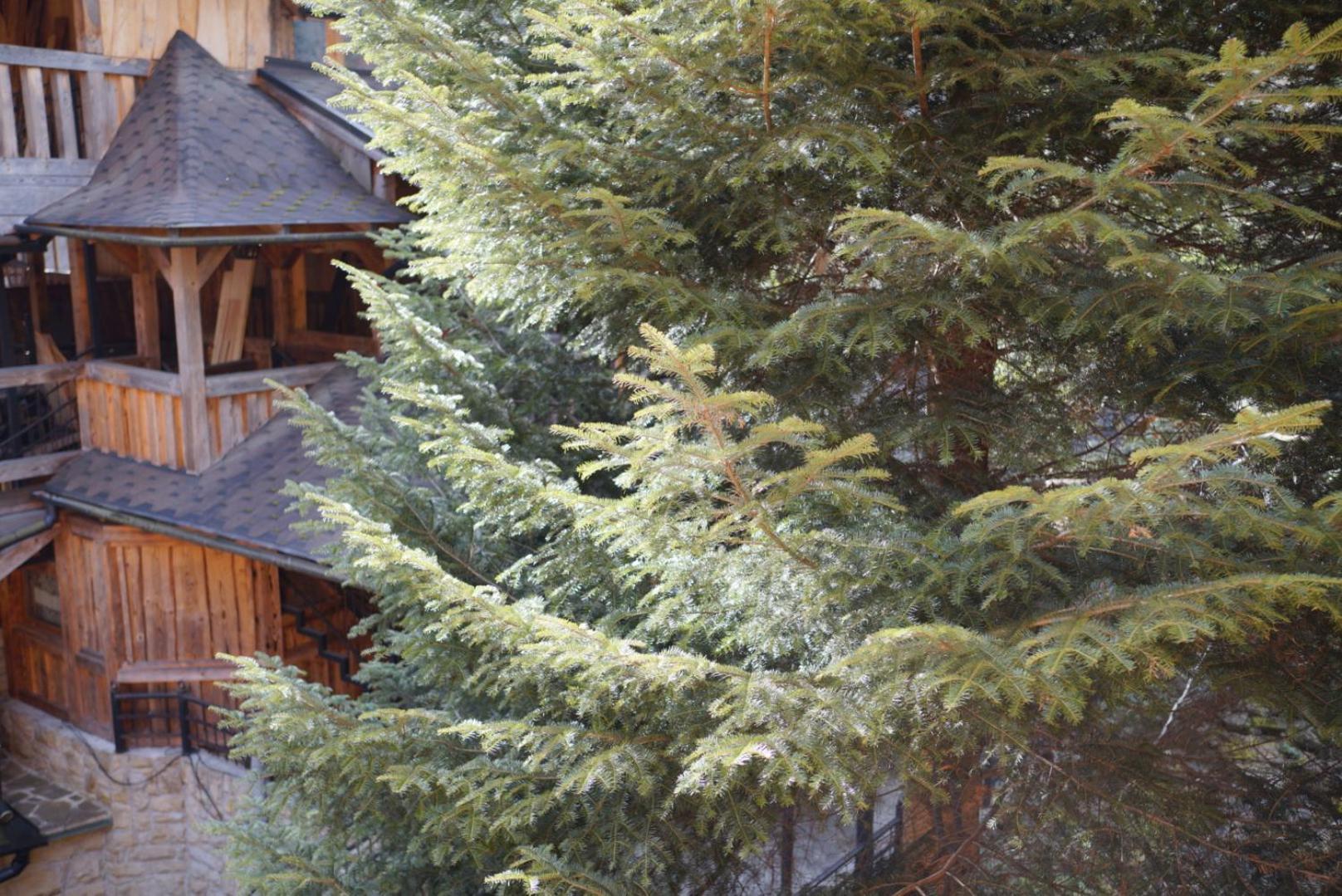 Садиба Nad Prutom Yaremche Exterior foto