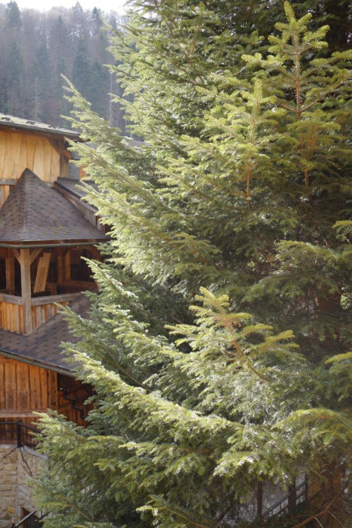 Садиба Nad Prutom Yaremche Exterior foto